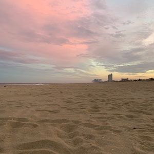 Meet your Posher, Allie